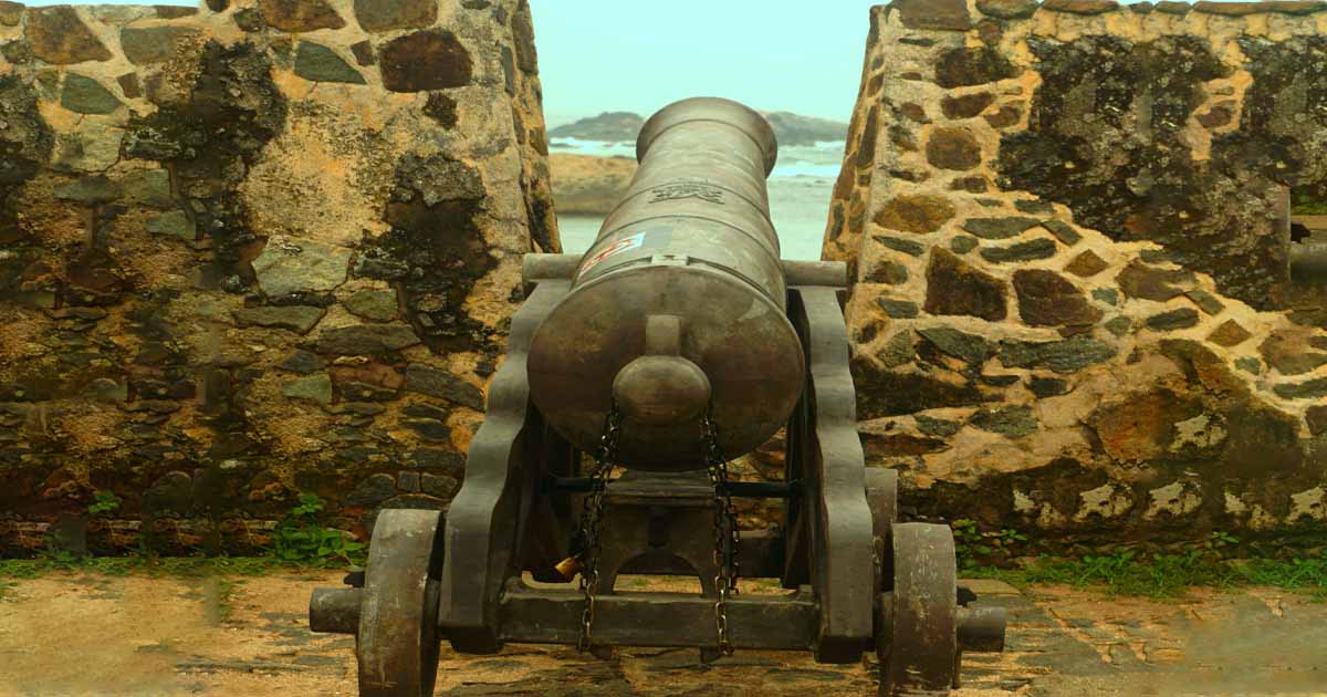 Yala National Park Bird
