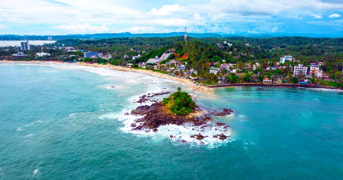 Yala National Park Bird