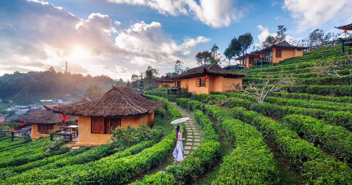 Family Itineraries 07 Days - Family Holidays in Sri Lanka