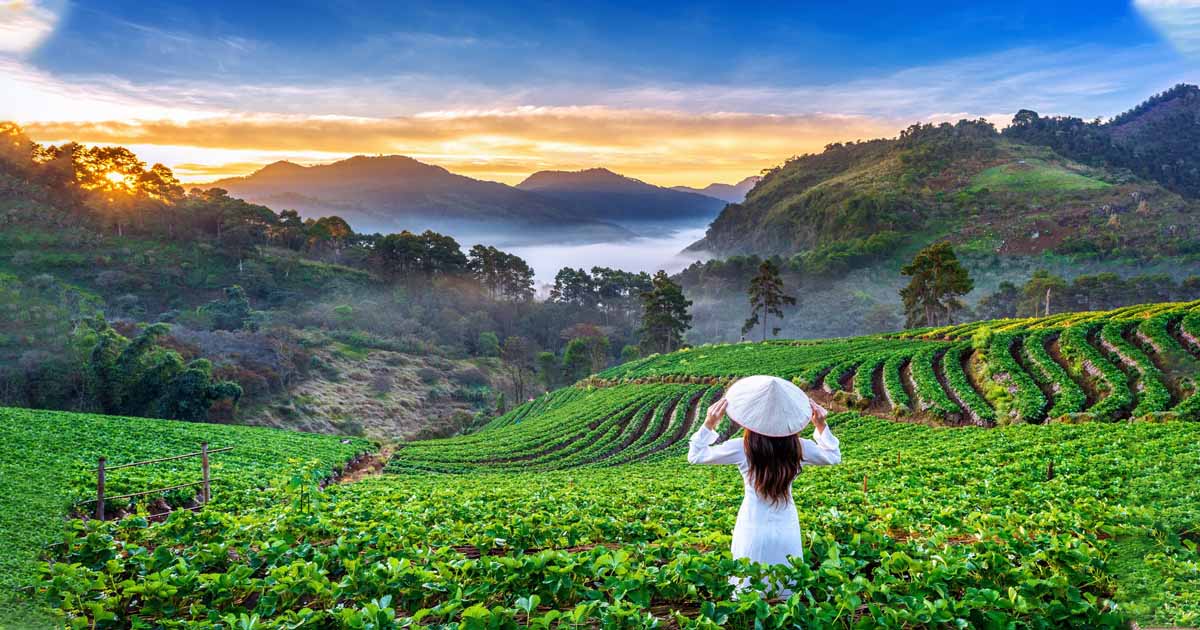 Temple of the Tooth Relic (Sri Dalada Maligawa)