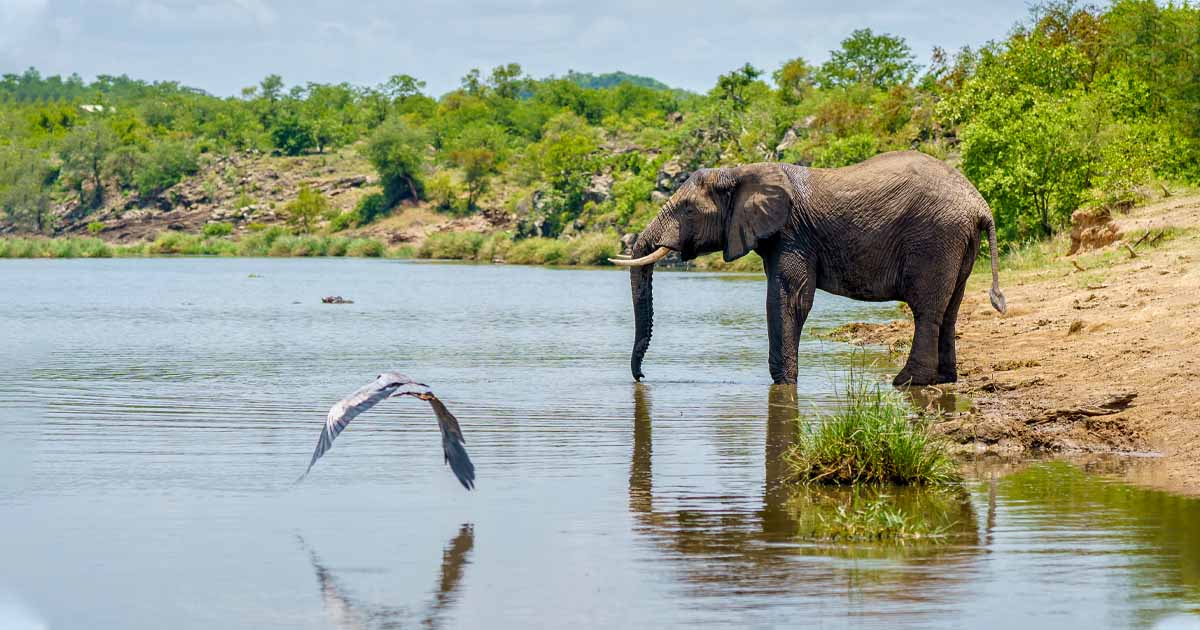 One Day Tour - Udawalawe Safari Tours