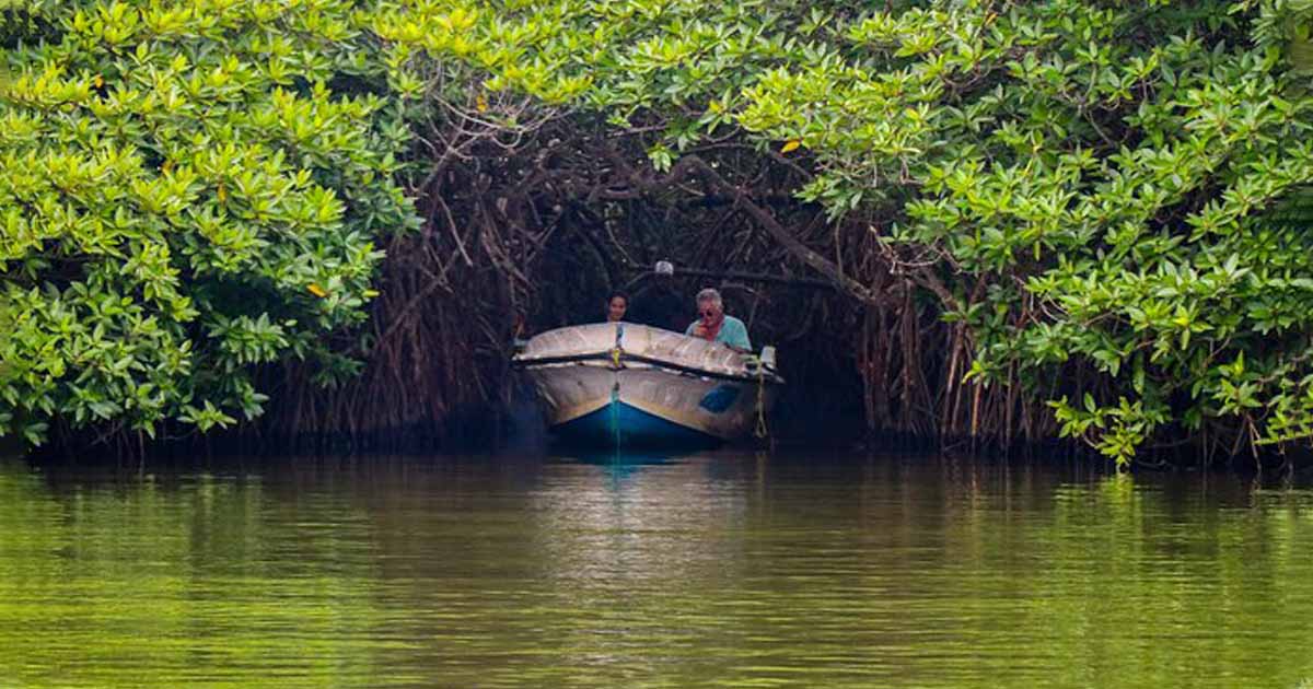 Family Itineraries 07 Days - Family Holidays in Sri Lanka